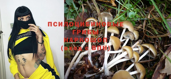 дурь Арсеньев