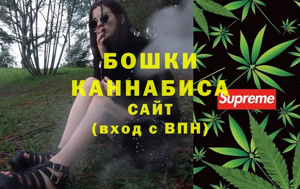дурь Арсеньев