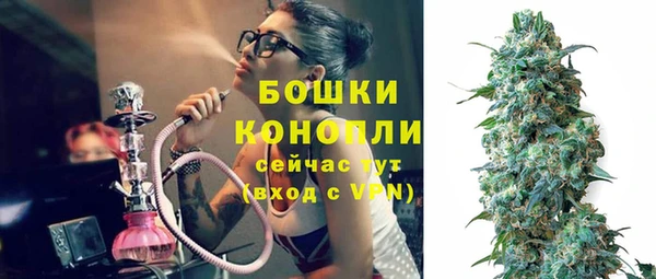 дурь Арсеньев