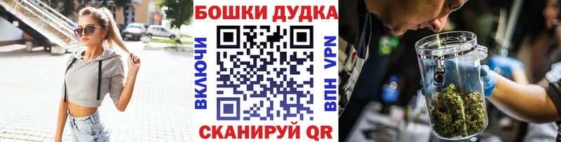 Конопля гибрид  закладка  Цивильск 